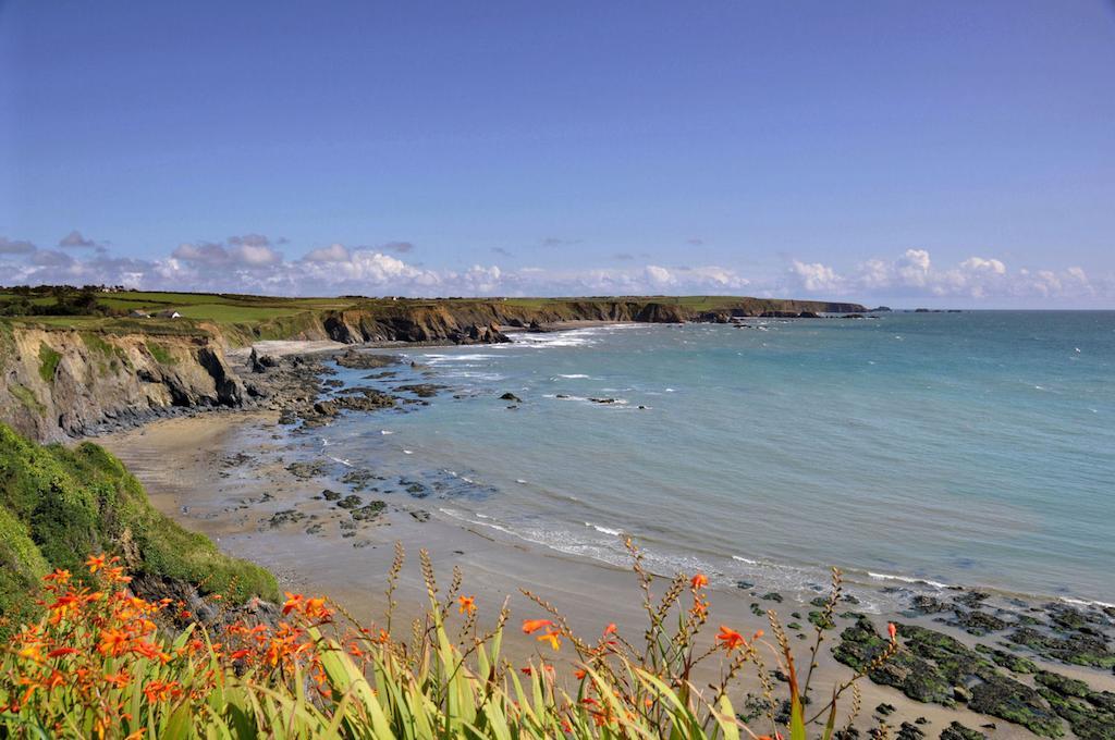 Beach Haven Holiday Hostel Tramore Eksteriør bilde